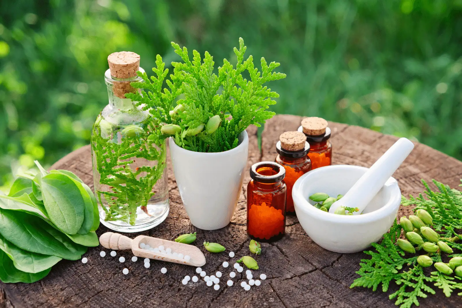 Homeopathic Medicine